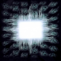 Tool / Ænima
